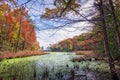 Autumn View through the trees of a Chesapeake Bay lake Royalty Free Stock Photo