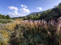 Autumn view of Vitosha Mountain, Bulgaria