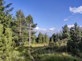 Autumn view of Vitosha Mountain, Bulgaria