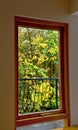 Autumn view from window Royalty Free Stock Photo