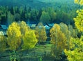 Autumn village Baihaba, xinjiang,china Royalty Free Stock Photo
