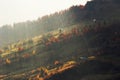 Autumn village landscape,  panoramic nature  scenery, Carpathian mountains. Ukraine, Europe Royalty Free Stock Photo