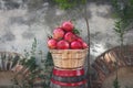 Autumn Village Pomegranate in a market basket Royalty Free Stock Photo