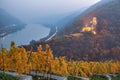 Autumn vineyard against Castle in Spitz with Danube river, Wachau, Austria