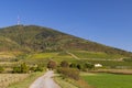 Autumn vineyard and Tokaji-hegy (513 m), Tokaj region, Great Plain and North, Hungary Royalty Free Stock Photo