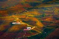 Autumn vineyards in Douro river valley in Portugal. Famous wine region Royalty Free Stock Photo