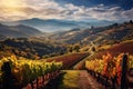 Autumn vineyards at sunset in Tuscany, Italy, AI Generated