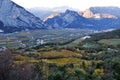 The Autumn vineyards of Trentino in Italy
