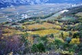 The Autumn vineyards of Trentino in Italy