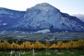 The Autumn vineyards of Trentino in Italy