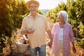 Autumn vineyards. Wine and grapes. Family tradition. Senior couple walking in between rows of vines