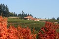 Autumn Vineyards and Winery