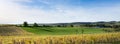 Autumn viniyards and rural landscape in dutch province of south limburg on sunny day Royalty Free Stock Photo