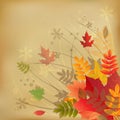 Autumn Vintage Background. Vector