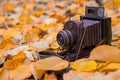 Autumn, vintage camera, yellow leaves, old age ... Royalty Free Stock Photo