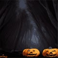 autumn vintage evil pumpkins in gloomy dark styles for halloween on the background Royalty Free Stock Photo