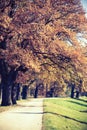 Autumn vintage park alley with trees