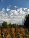 Autumn vista in the Finger Lakes Region of NYS Royalty Free Stock Photo