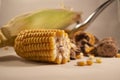 Autumn vruits - corn and nuts