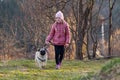 Autumn walk of a child with a dog, a girl and her pet - a pug Royalty Free Stock Photo