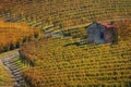 Autumn walk after harvest in the hiking paths between the rows and vineyards of nebbiolo grape, in the Barolo Langhe hills,