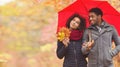 Autumn walk. Loving afro couple with umbrella in park