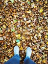 Autumn walk over the colorful leafy ground