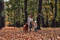 Autumn walk in the park. Beautiful adult woman with a little girl walking with a pet. Mom and daughter on a walk with a dog Royalty Free Stock Photo