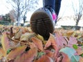 Autumn walk in the park. View from below. Close up of shoes and colorful fallen leaves