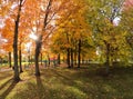 An Autumn walk in the park to see Fall foliage Royalty Free Stock Photo