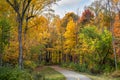 Autumn Walk - Trail Through Fall Foliage Royalty Free Stock Photo