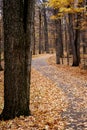 Autumn walk way Royalty Free Stock Photo