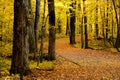 Autumn Walk Way Royalty Free Stock Photo