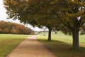 Autumn walk way, England Royalty Free Stock Photo