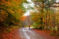 Autumn walk way Royalty Free Stock Photo