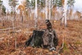 Autumn walk through the woods with a pet. The miniature schnauzer is sitting on a stump in the autumn forest. Royalty Free Stock Photo