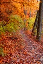 Autumn walking trail Royalty Free Stock Photo