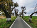 Autumn walks through the linden avenue in the Moravice river valley Royalty Free Stock Photo