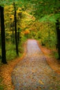 Autumn Walkway Royalty Free Stock Photo