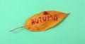 Autumn walnut leaves with handwritten text