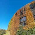 Autumn warm colors. Camouflaged hunting cabin surrounded by trees and hedges Royalty Free Stock Photo