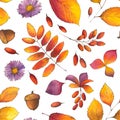 Autumn Watercolor botanical Seamless Pattern with fall leaves, acorns, aster flowers, branches of berberries Royalty Free Stock Photo