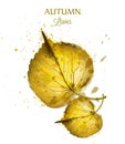 Autumn watercolor leaves Vector isolated on white background. Fall banner template. Golden colors