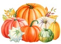 Autumn watercolor Pumpkins on an isolated white background, Thanksgiving harvest Royalty Free Stock Photo