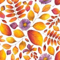 Autumn Watercolor Seamless Pattern with fall leaves, aster flowers, branches of berberries on white background Royalty Free Stock Photo