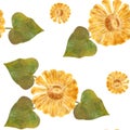 Autumn Watercolor Seamless Pattern with Sunflowers and Leaves. Autumn Yellow Flowers. Design for Packaging, Stationery Royalty Free Stock Photo
