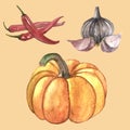 Autumn watercolor set with vegetables