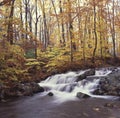 Autumn waterfall Royalty Free Stock Photo