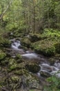 Autumn waterfall