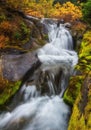 Autumn Waterfall, Mt. Rainier National Park, Washington State Royalty Free Stock Photo